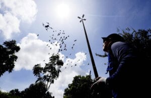 Equipes de saúde visitam mais de 1,8 milhão de residências contra a dengue em 2025