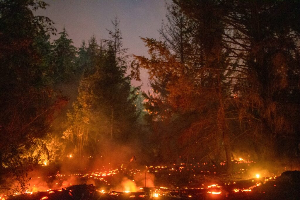 Argentina decreta emergência por incêndios na Patagônia
