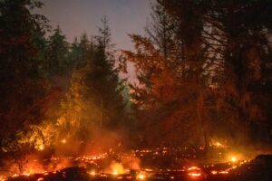 Argentina decreta emergência por incêndios na Patagônia