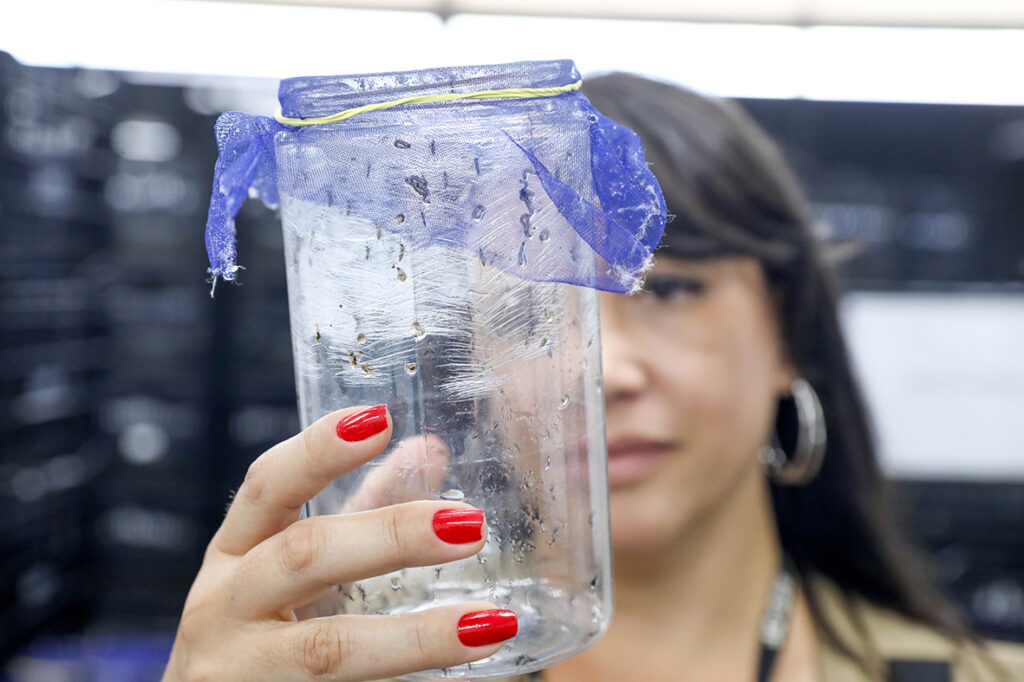 GDF usa drones e mosquitos Wolbachia no combate à dengue