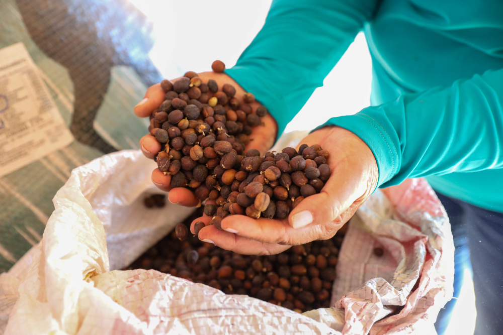 IPP de novembro é o 10º mês seguido de deflação, mostra IBGE