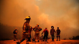 Incêndios florestais no Chile deixam 19 mortos e destroem mais de 20 mil hectares