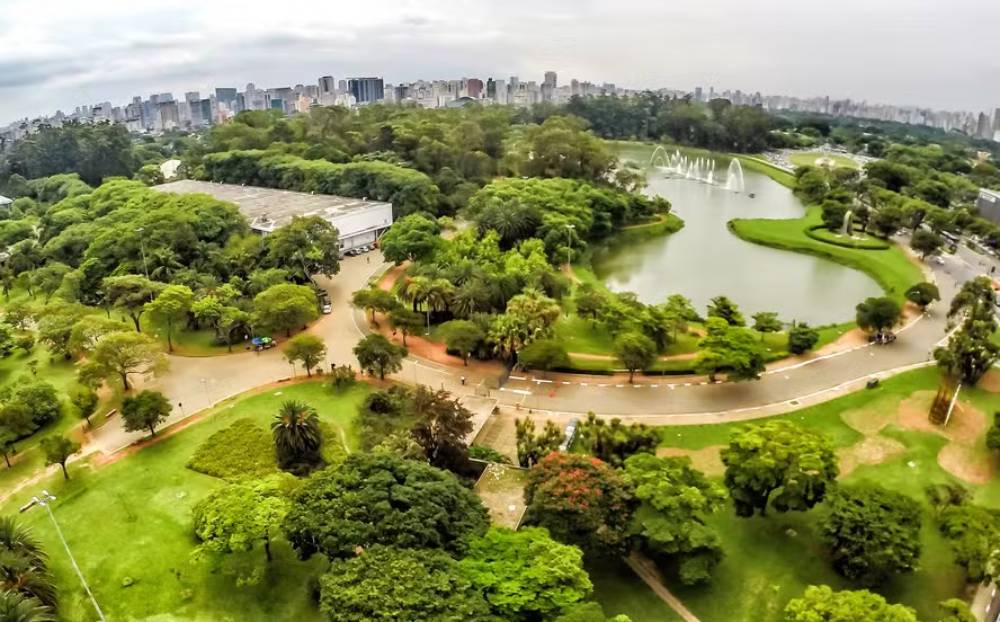 Árvore de grande porte cai no parque Ibirapuera e atinge mulher