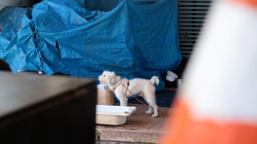 Ação de acolhimento à população de rua no Núcleo Bandeirante