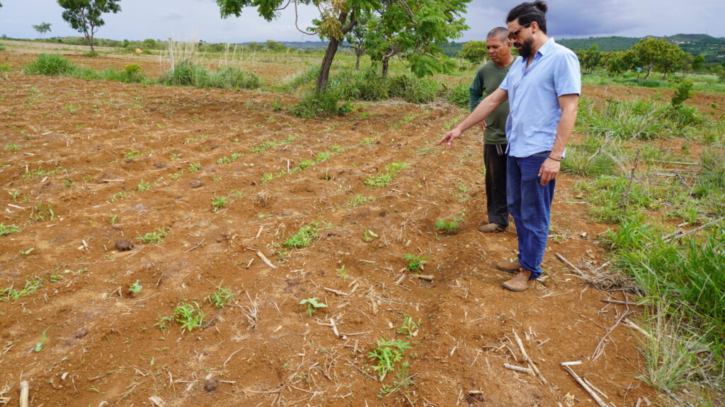 DF supera meta e chega a 386 produtores com certificação orgânica