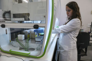 DF registra alta no número de exames do Teste do Pezinho em 2025