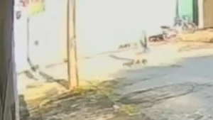 Tutor do pitbull conseguiu conter o animal - (Foto: reprodução)