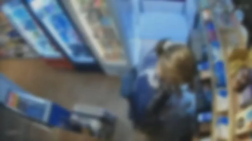 Delegada furtando mercadorias de mercado - (Foto: reprodução)