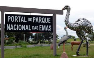 Entorno e Chapada: Wi-Fi público em cidades