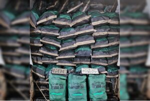 PM apreende meia tonelada de carvão ilegal em São Sebastião (DF)