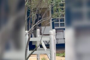 Liliane Roriz é despejada de fazenda em Luziânia após disputa com irmã