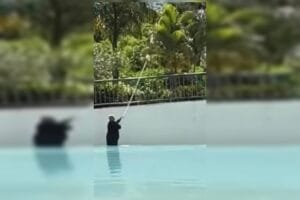Caldas Novas: Fezes em piscina causa revolta.