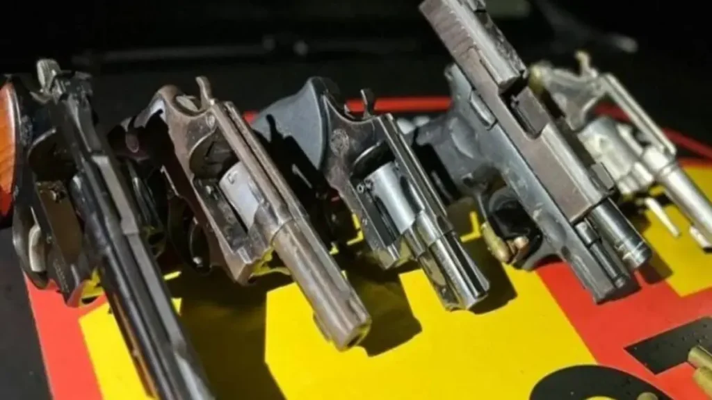 Imagem mostra armas de fogo apreendidas em ação policial