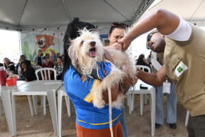 GDF Mais Perto do Cidadão leva serviços gratuitos ao Recanto das Emas