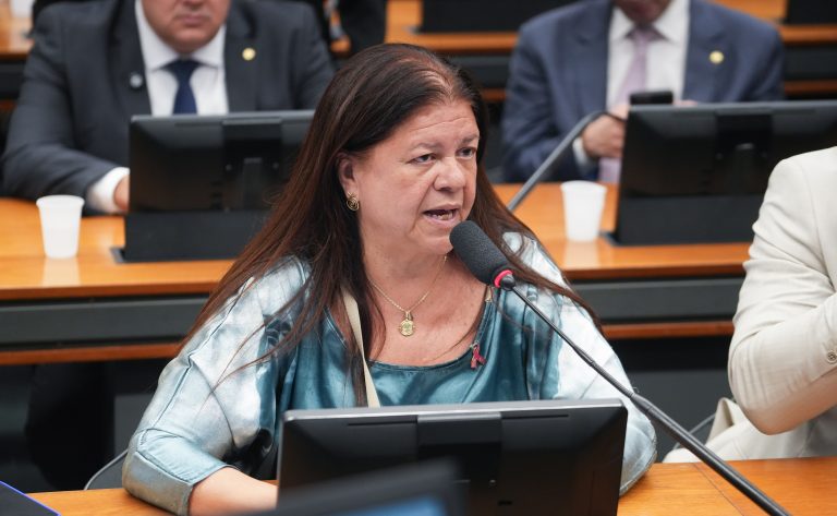 Deputada Laura Carneiro (PSD-RJ) fala em comissão da Câmara dos Deputados