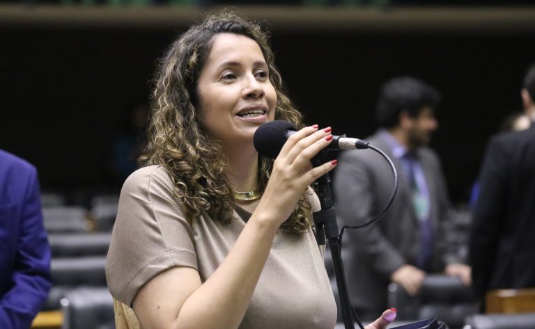 Deputada Denise Pessôa (PT-RS) fala no Plenário da Câmara dos Deputados