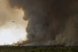 Orçamento para fiscalização de queimadas cai 17% em 2026
