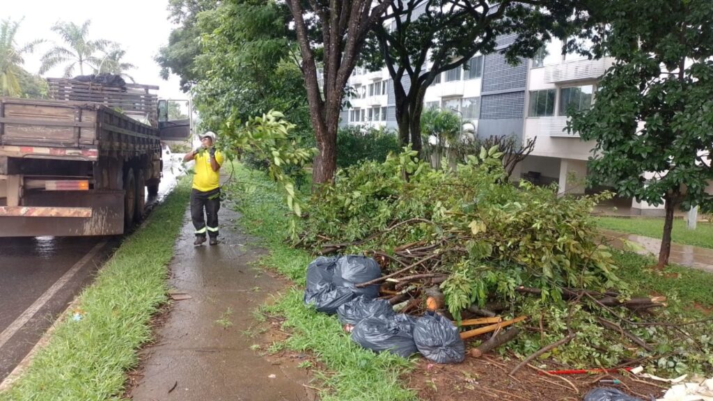 “Caça-sujões”: GDF estuda a criação de projeto que recompensa cidadãos que denunciarem descartes de lixo