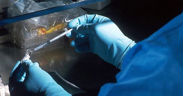 Agência de Vigilância Sanitária do Brasil aprova vacina contra o HIV – MercoPress