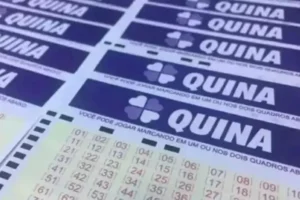 Concurso 6950 da Quina: confira resultado e prêmios que saíram para Goiás
