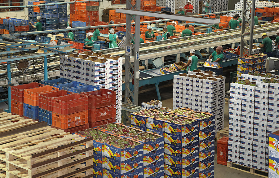 Exportações brasileiras para EUA caem 25,5% em janeiro, mas sobem para China