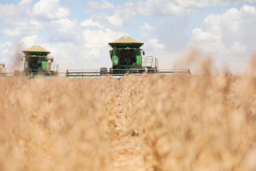 Senado aprova R$ 83,5 milhões para combater pragas na agricultura
