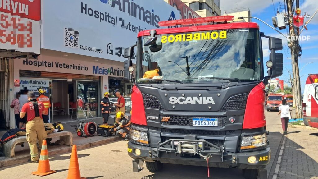 Clínica veterinária pega fogo em Ceilândia