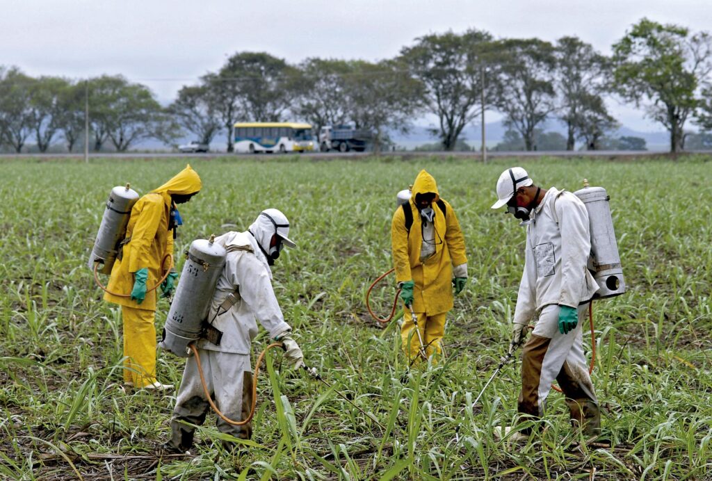Projeto de lei facilita acesso à Justiça para comunidades afetadas por agrotóxicos