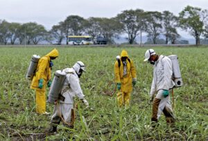 Projeto de lei facilita acesso à Justiça para comunidades afetadas por agrotóxicos