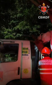 Galho de árvore atinge caminhão de lixo e mobiliza Bombeiros no Gama