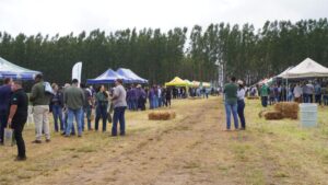 AgroBrasília promove Dia de Campo de Soja com mais de 600 participantes