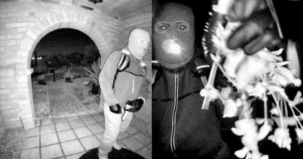 FBI divulga imagens de indivíduo ligado ao desaparecimento da mãe de Savannah Guthrie