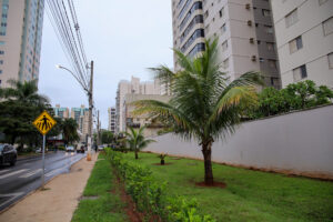 Adote uma Praça entrega dois espaços reformados em Águas Claras