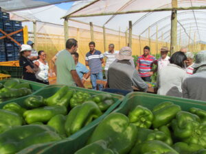 Emater-DF abre inscrições para curso gratuito de gestão no agronegócio