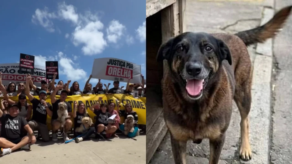 ‘Vou pegar vocês. Sua família acabou’, ouvem pais de adolescente mesmo após ele deixar de ser suspeito em caso do cão Orelha