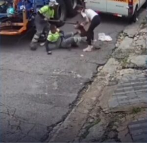 Garis ficam feridos após ataque de pitbull em São Paulo