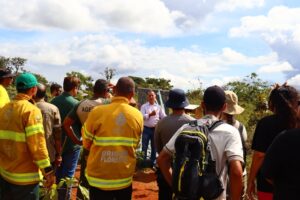 Trilha de abelhas nativas do Cerrado é inaugurada no DF