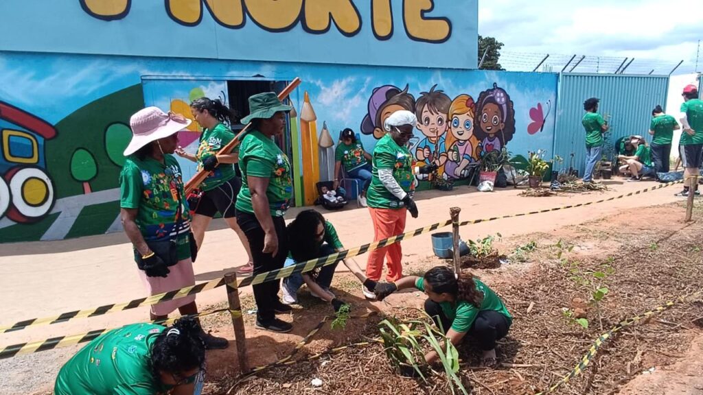 Projeto cria jardim de chuva para reduzir alagamentos no Sol Nascente
