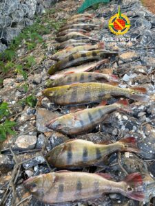 Dois homens são presos por pesca predatória no Lago Paranoá