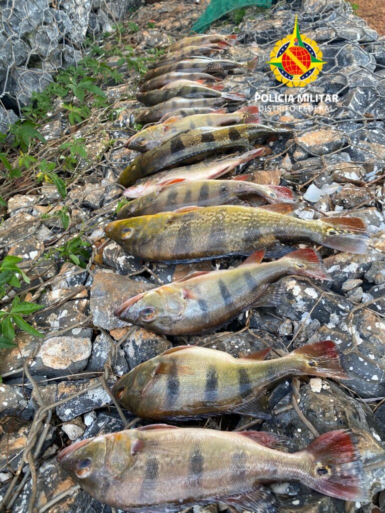 Dois homens são presos por pesca predatória no Lago Paranoá