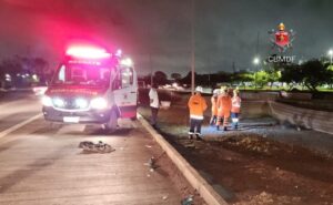 Idoso morre após acidente na EPIG em frente ao Complexo da PCDF