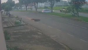 Entregador por aplicativo é arremessado após ser atingido por carro no Parque das Flores, em Goiânia