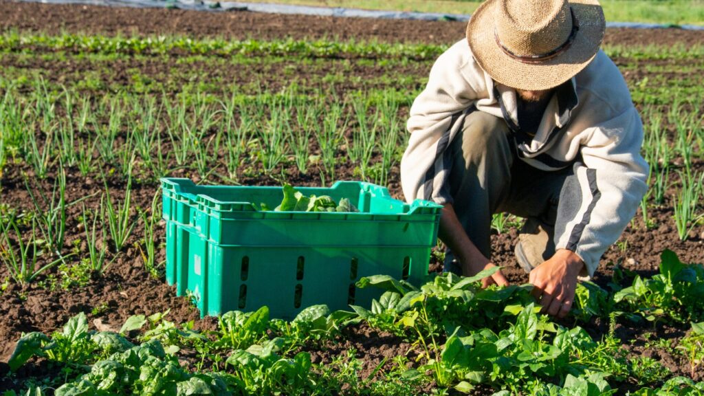 Pesquisa detalha perfil da população da área rural do DF
