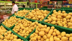 Preços da batata e da cebola caem no atacado em janeiro, mostra Prohort da Conab