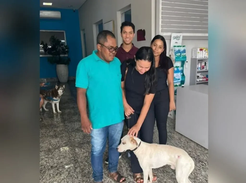 Cachorro vítima de maus-tratos é adotado por nova família em Rio Verde: 'trouxe mais amor para nossa casa'