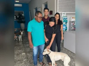 Cachorro vítima de maus-tratos é adotado por nova família em Rio Verde: 'trouxe mais amor para nossa casa'