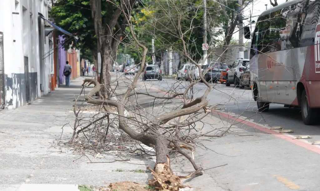 Chuva forte provoca desabamentos e quedas de árvores em SP