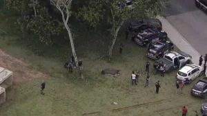 Mulher de 34 anos é encontrada esquartejada em mala em SP