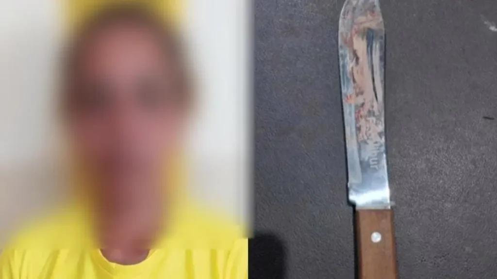 Mulher foi presa em posse da arma utilizada no crime - (Foto: reprodução/PM)