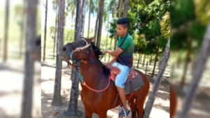 Vitor Gabriel, de 16 anos - (Foto: reprodução)